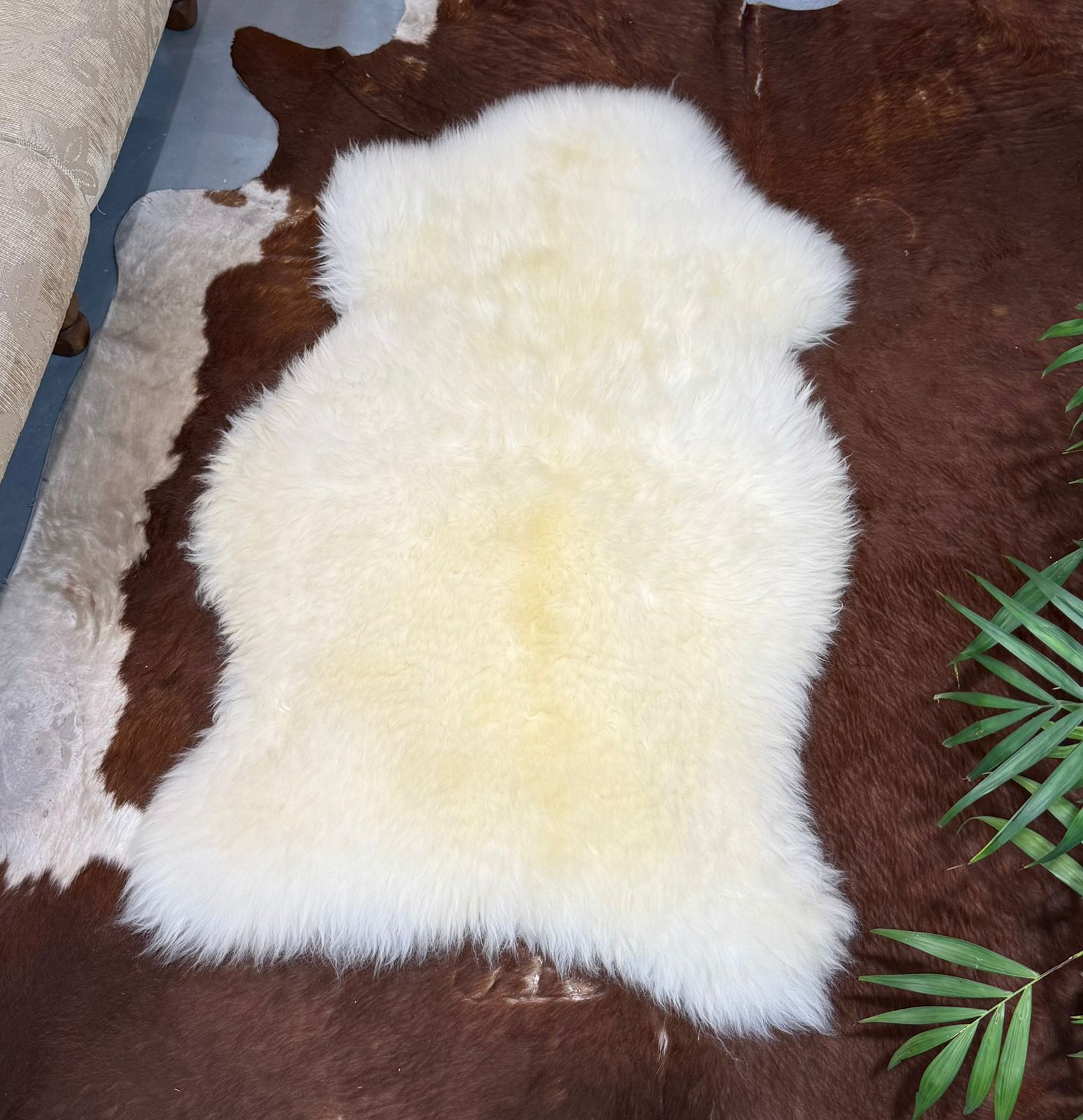 pelego Pelego de Ovelha